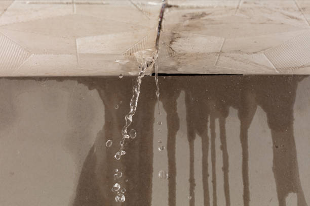 Professional Water Damage Restoration technician working in Chuckey, TN